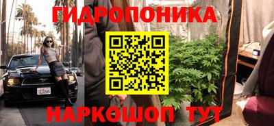 ECSTASY Обь