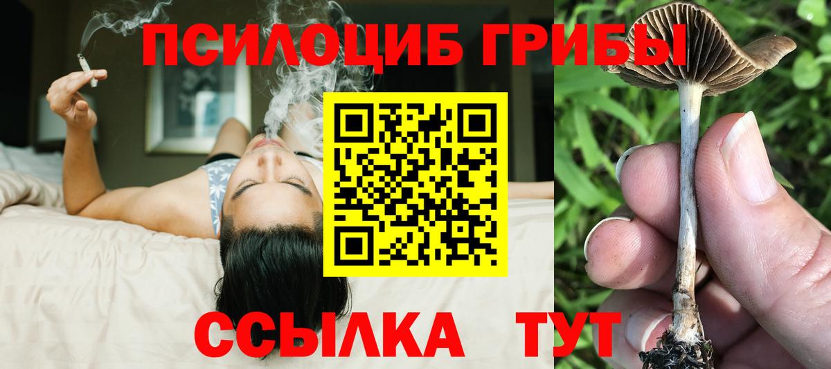 Заречный  Галлюциногенные грибы GOLDEN TEACHER  Вход с VPN  купить  цена  Галлюциногенные грибы MAGIC MUSHROOMS 